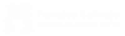 Logos universum (5)
